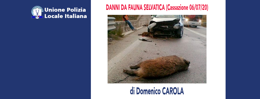 DANNI DA FAUNA SELVATICA (Cassazione 06/07/2020) di D.Carola